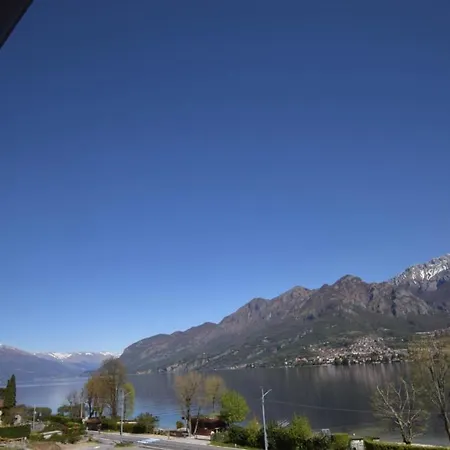 Jolanda Bellagio Wild Flowers