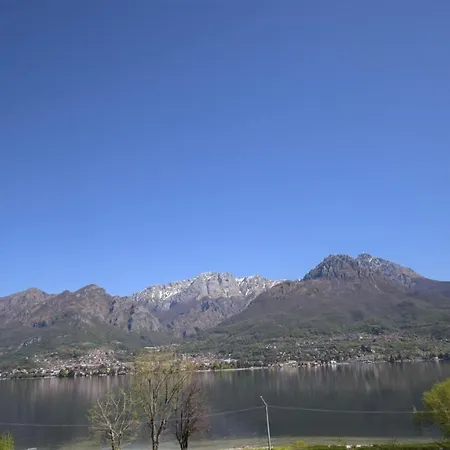 Jolanda Bellagio Wild Flowers *